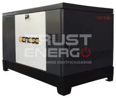 Газовый генератор Genese Standard 17000T Neva кожухе В кожухе  2G99 trustenergo.ru