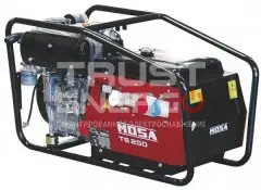 Сварочный генератор Mosa TS 250 KD/EL Открытая на раме Ruggerini RD 210 trustenergo.ru