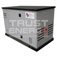 Газовый генератор REG ARCTIC GG10-230S с АВР
